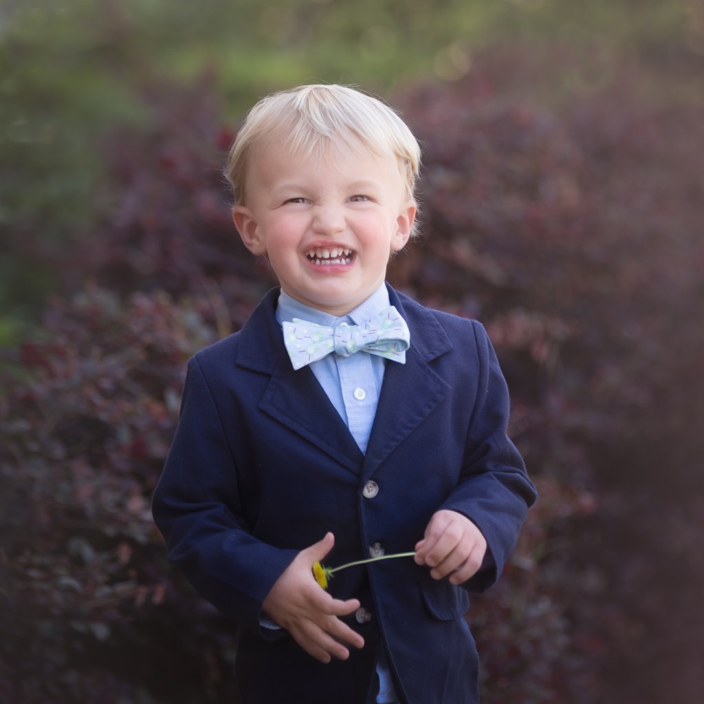 Photo of young boy in bow tie holding a flower and smiling. Photo links to Jennifer Harrelson children photography page.